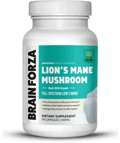 Buy Lion’s Mane Mushroom UK